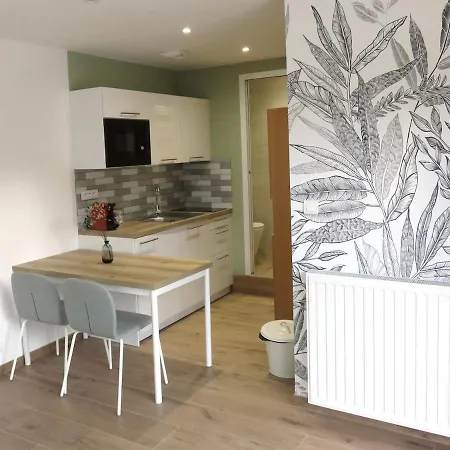 Avec Terrasse Et Acces Piscine Proche Appartement Aix-les-Bains